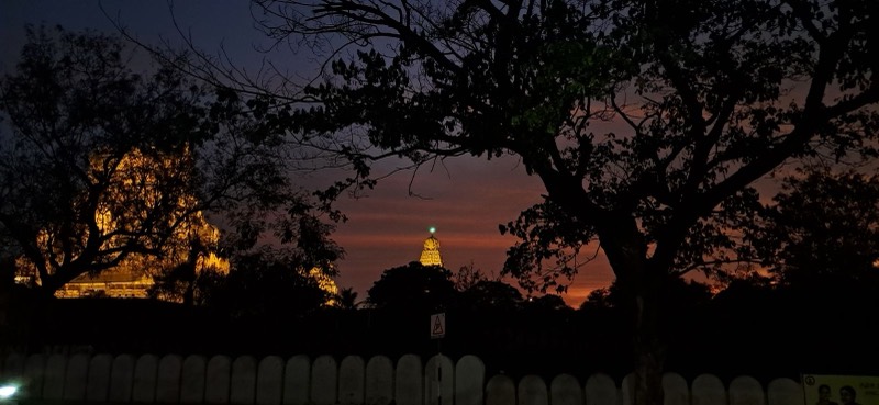 A temple tower lit up at dusk behind trees