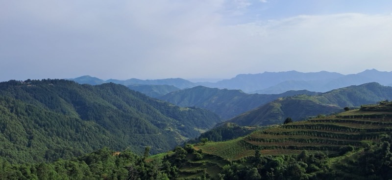 Green hills and terraced slopes