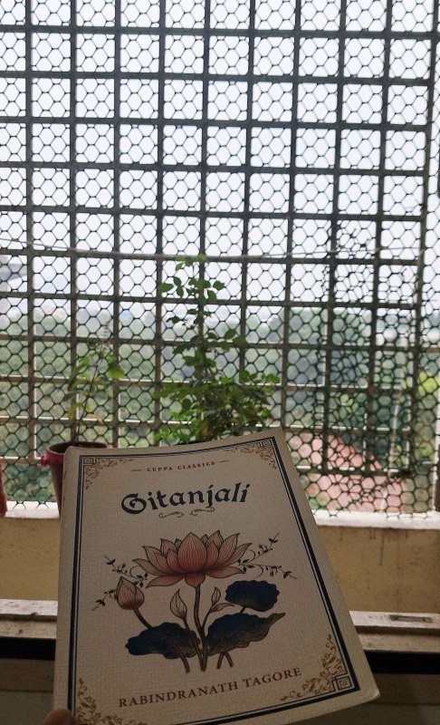 A book on a windowsill behind a window grille